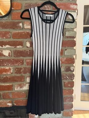Adore Black & White Sleeveless Vertical-Stripe Fit-and-Flare Dress